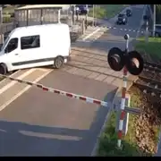 duba polonia gif gif