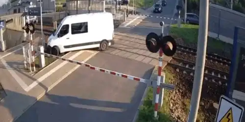 duba polonia gif gif