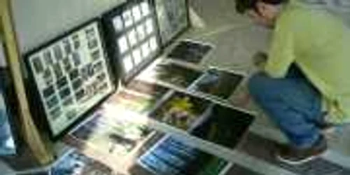 Anul acesta se împlinesc 20 de ani de când se organizează expoziția ”Luna Pădurii” în Bacău.