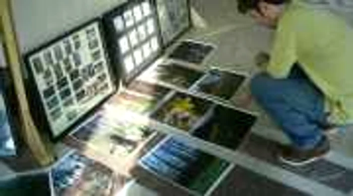 Anul acesta se împlinesc 20 de ani de când se organizează expoziția ”Luna Pădurii” în Bacău.