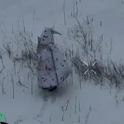 Captură de ecran 2026 01 30 081603 jpg