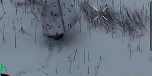 Captură de ecran 2026 01 30 081603 jpg