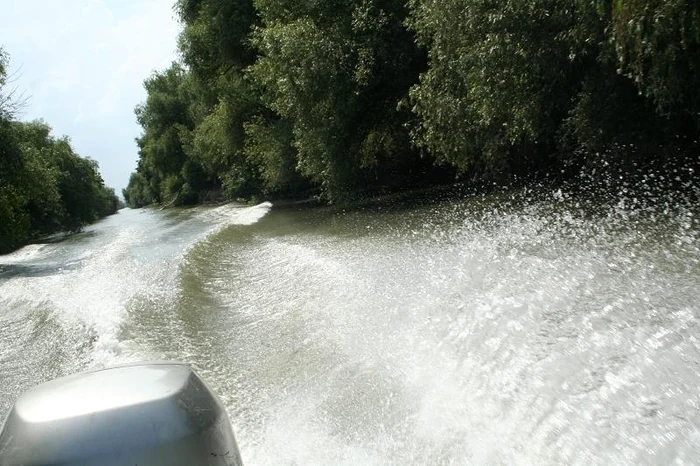 Percheziţii într-o locuinţă din Delta Dunării FOTO Arhivă Adevărul