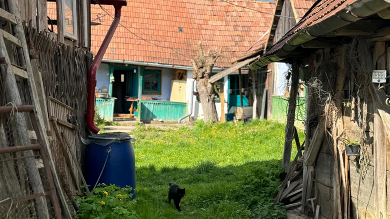 Casa veche, de aproape un secol, cumpărată de Alexandra. Foto: Love Deco