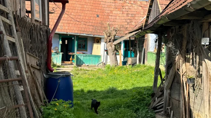 Casa veche, de aproape un secol, cumpărată de Alexandra. Foto: Love Deco