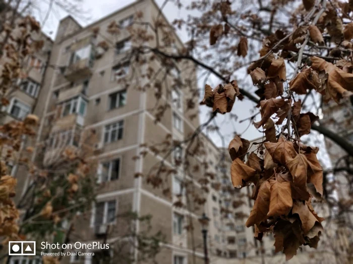 OnePlus 6T mod portret FOTO Adrian Pogîngeanu