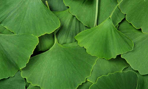 shutterstock 1998726554 jpg