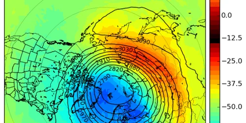 vortex polar