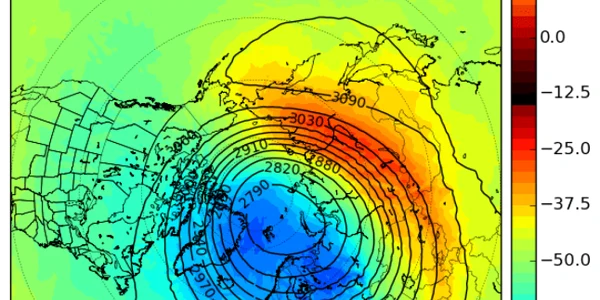 vortex polar