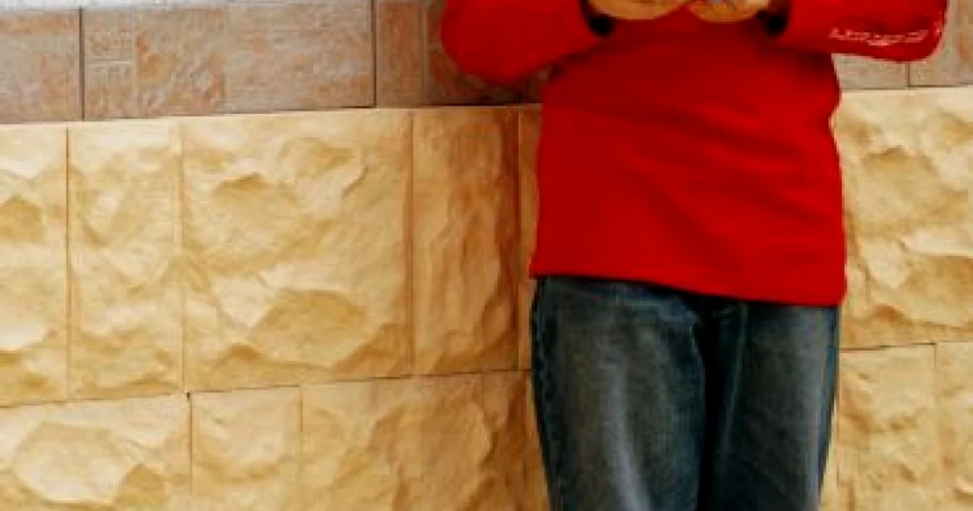 Piteşti: Bogdan Ionescu, Prinţul Origami