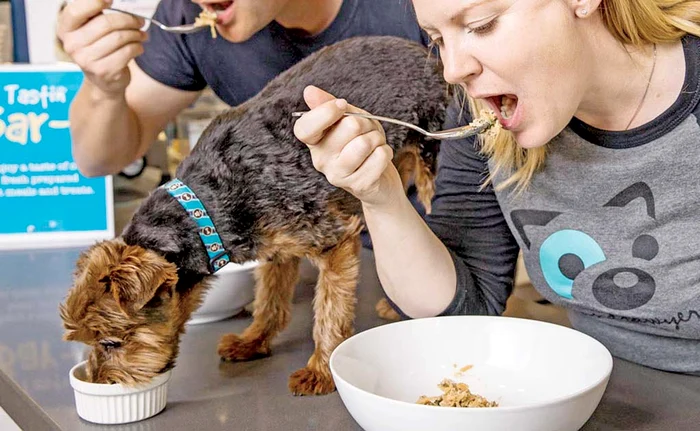 
    Degustător profesionist de mâncare pentru căţei  