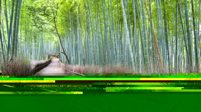 Arashiyama