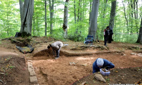 cetatea dacica piatra rosie foto daniel guta adevarul