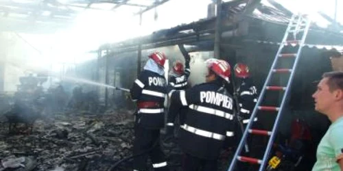 Satu Mare: Două şuri din Odoreu au ars în totalitate