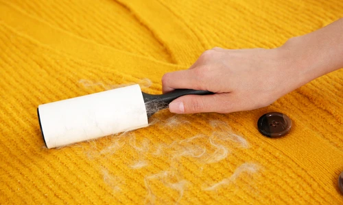 Ponturi sa cureti parul animalelor de companie  Sursa foto shutterstock 1801922032 jpg