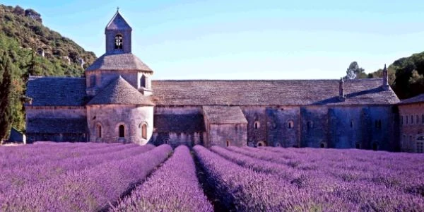 lavanda franta marsilia foto tvr