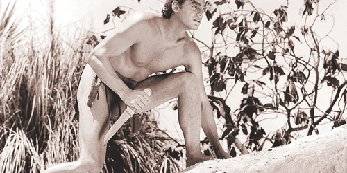 Johnny Weissmuller  (2 iunie 1904  20 ianuarie 1984) jpeg