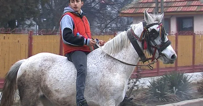 Înainte de Botez, tinerii scot caii la paradă