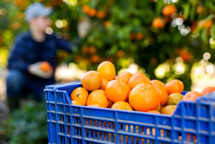 Sunt oferite salarii foarte atractive