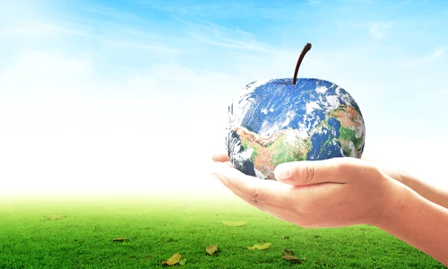 1 shutterstock 327149252 jpg jpeg