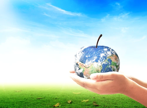 1 shutterstock 327149252 jpg jpeg