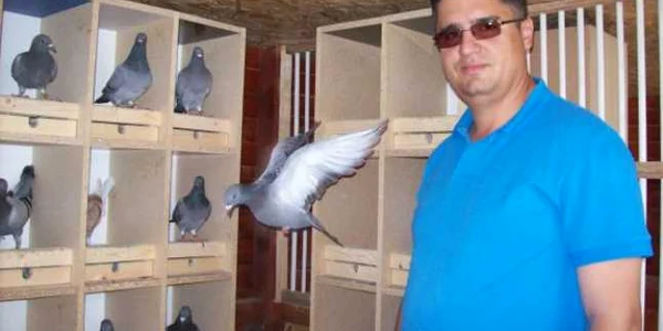 Avocatul Florin Gătejescu este columbofil de la vârsta de 7 ani 