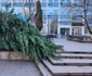 Arbori tăiați peste noapte în Deva Foto Primăria Deva (1) jpg