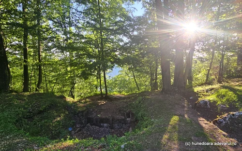 Cetatea dacică Piatra Roșie Foto Daniel Guță ADEVĂRUL (13) jpg