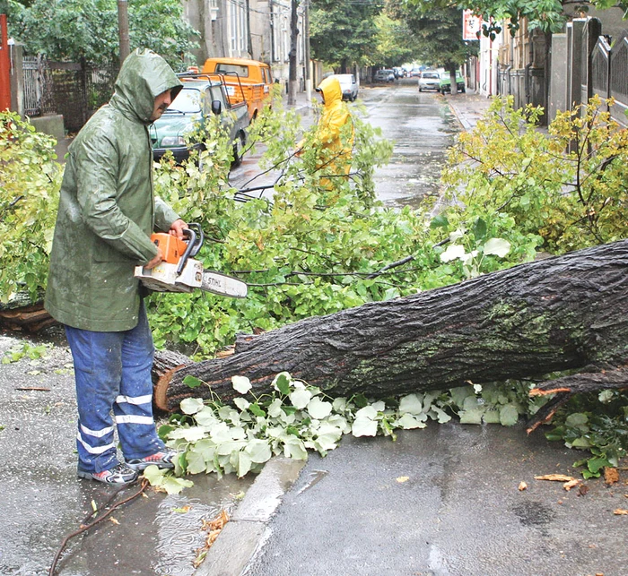 Gheorghe Piperea, avocat care a iniţiat procese colective împotriva băncilor