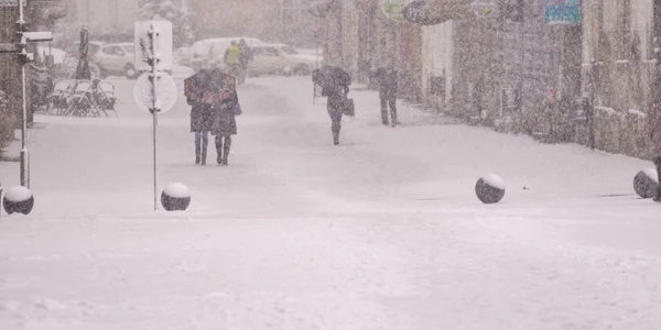 Ninsoare zapada viscol Romania Timisoara FOTO Shutterstock