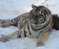 zoo sibiu 3
