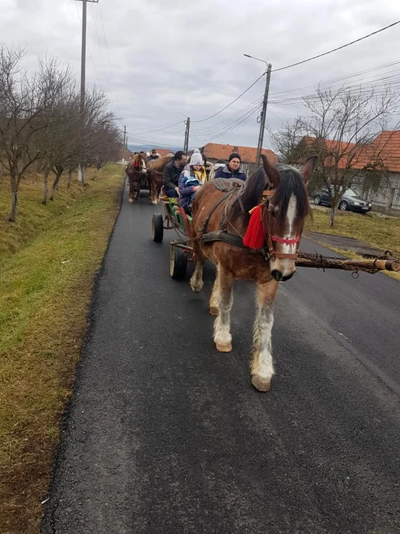 Plimbare cu căruţa într-un sat din Timiş