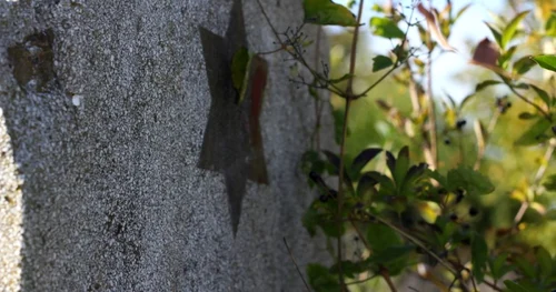 cimitir evreiesc foto daniel guta