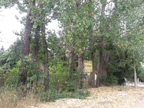 1 64796 original jpg jpeg