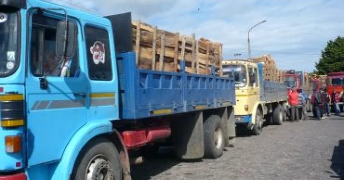 Piteşti: Camere video camuflate în zonele cu trafic de material lemnos