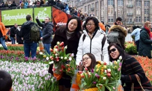 De Tulip Day, turiștii se fotografiau în piețele de flori jpeg