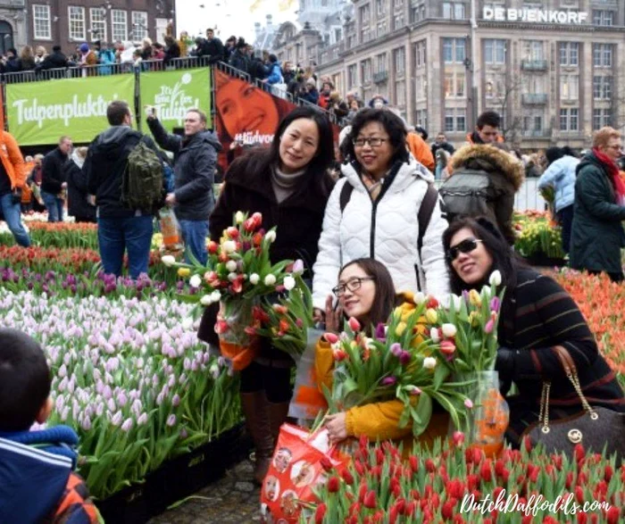 De Tulip Day, turiștii se fotografiau în piețele de flori