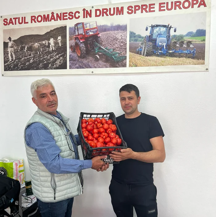 Fermierul din Scărișoara a început să recolteze tomate încă din martie FOTO: arhiva Ion Păunel