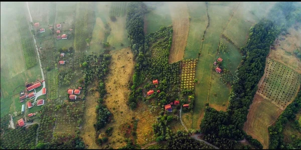 valea laptelui FOTO primaria vlasinesti jpg