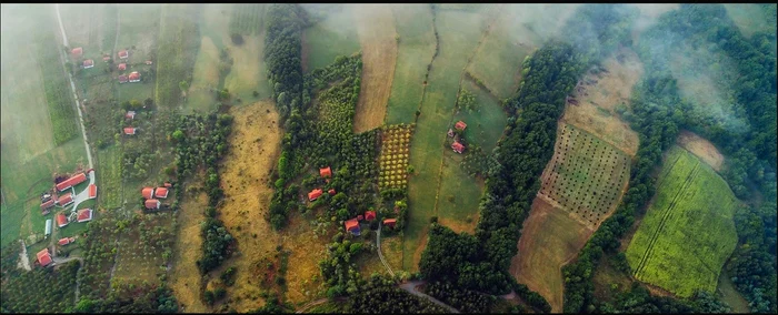 „Ținutul laptelui” FOTO Primăria Vlăsinești