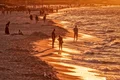 analogicus beach 4329694 jpg