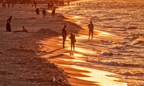 analogicus beach 4329694 jpg