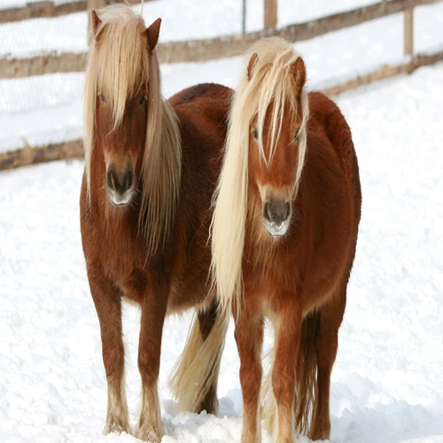 1 61337 original jpg jpeg