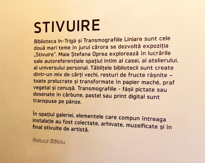 Stivuire