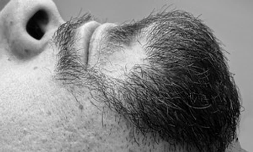 beard 1140463 180 jpeg