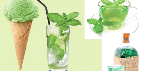 Menta