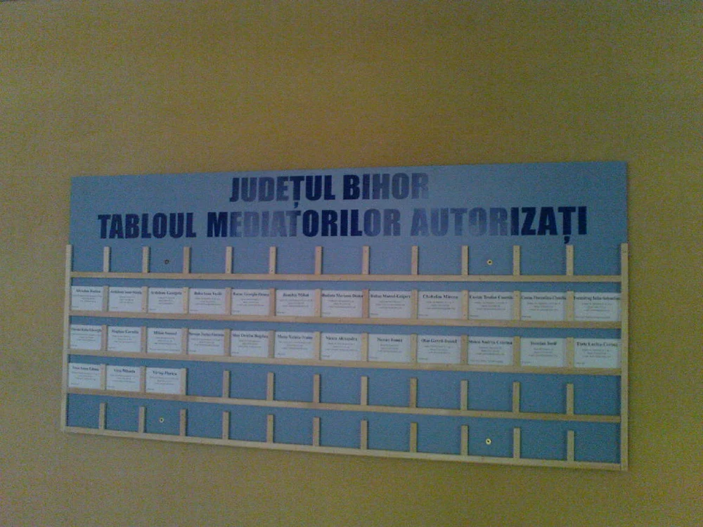 A fost afișat tabloul mediatorilor