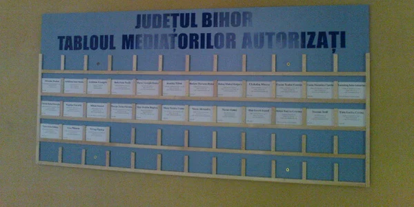 A fost afișat tabloul mediatorilor