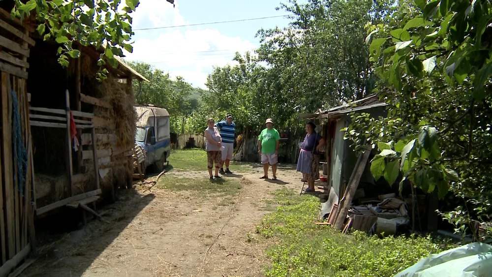 Locuitorii unui cătun din județul Buzău sunt terorizați de urși, noapte de noapte, de peste trei săptămâni VIDEO