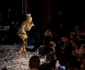 Concert delia FG